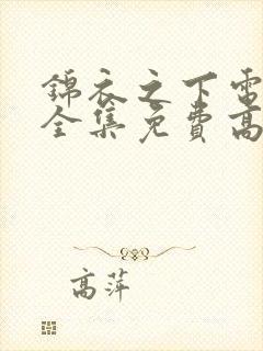 锦衣之下电视剧全集免费高清