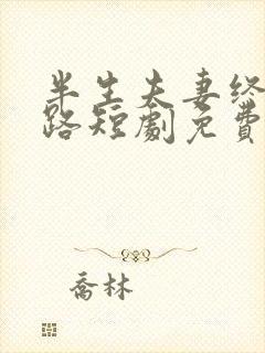 半生夫妻终成陌路短剧免费观看全集