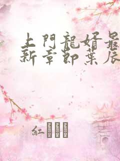 上门龙婿最新更新章节叶辰萧初然