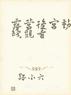 露营后宫动漫在线观看