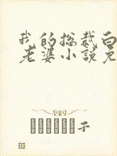 我的总裁白富美老婆小说免费阅读