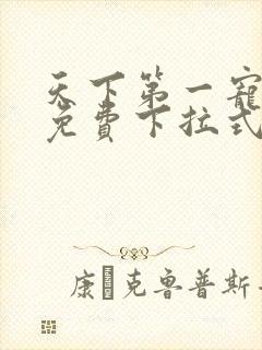 天下第一宠漫画免费下拉式漫画