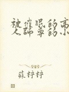 被催眠的高冷美人师尊的小说