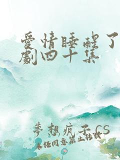 爱情睡醒了连续剧四十集