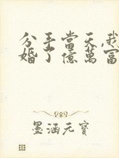 分手当天,我闪婚了亿万富豪全文阅读全文