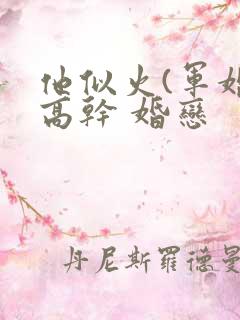 他似火(军婚 高干 婚恋