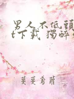 男人不低头txt下载 独醉雅