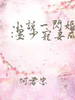 小说一闪婚厚爱:墨少宠妻成瘾
