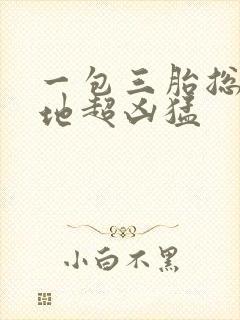 一包三胎总裁爹地超凶猛