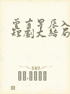 曾有星辰入我梦短剧大结局