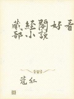 藏经阁好看的全部小说