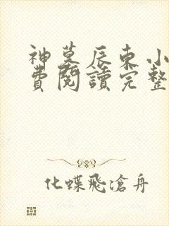 神墓辰东小说免费阅读完整版