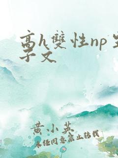 高h双性np生子文