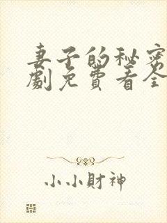 妻子的秘密电视剧免费看全集