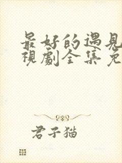 最好的遇见你电视剧全集免费观看高清