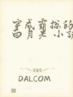 穿成霸总的替身白月光 小说