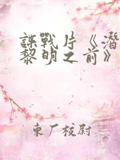 谍战片《潜伏在黎明之前》