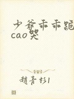 少爷乖乖跪趴被cao哭