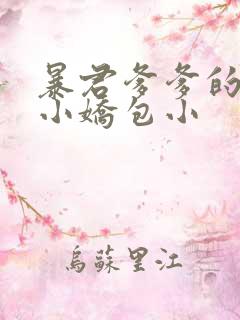暴君爹爹的团宠小娇包小