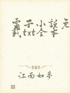 电子小说免费下载txt全本