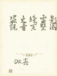 盗火线电影免费观看完整国语高清