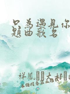 只为遇见你的主题曲歌名