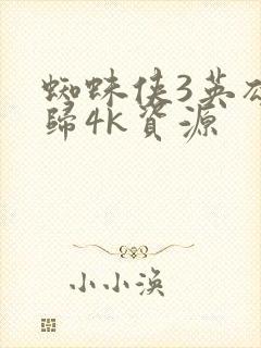 蜘蛛侠3英雄无归4k资源