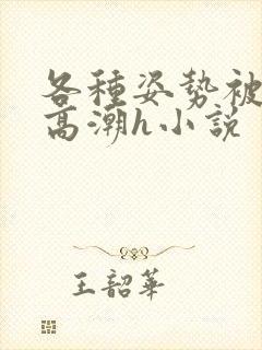 各种姿势被脔到高潮h小说