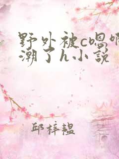 野外被c嗯啊高潮了h小说
