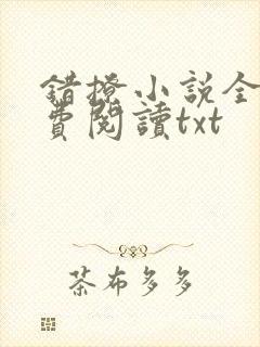 错撩小说全文免费阅读txt