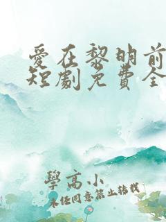 爱在黎明前降落短剧免费全集