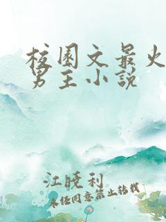 校园文最火的双男主小说