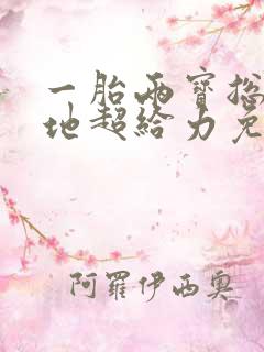 一胎两宝总裁爹地超给力免费阅读