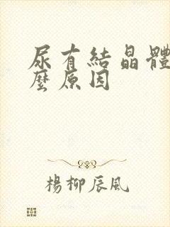 尿有结晶体是什么原因