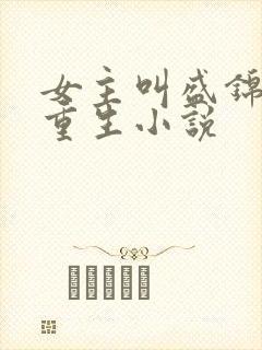 女主叫盛锦初的重生小说