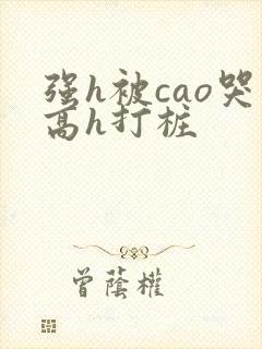 强h被cao哭高h打桩