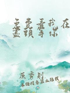 免费看我在时间尽头等你