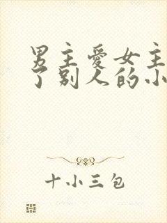 男主爱女主却娶了别人的小说