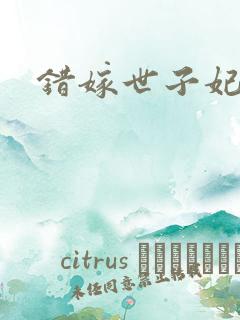 错嫁世子妃全集