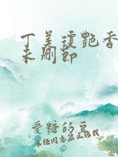 丁美琼艳香迷醉未删节