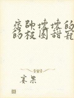 痞帅坏坏的校霸的校园甜宠文