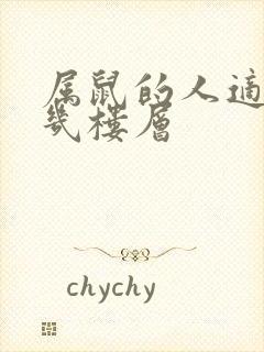 属鼠的人适合住几楼层