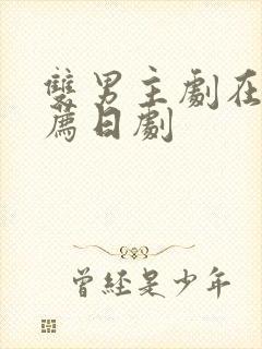 双男主剧在线推荐日剧