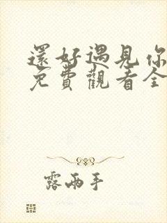 还好遇见你短剧免费观看全集高清