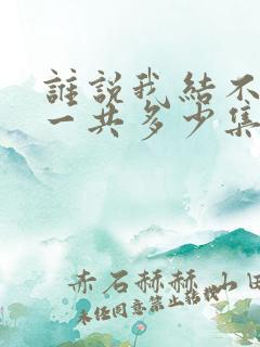 谁说我结不了婚一共多少集