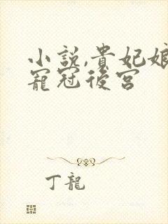 小说,贵妃娘娘宠冠后宫