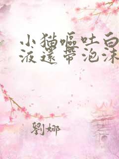 小猫呕吐白色粘液还带泡沫不吃东西