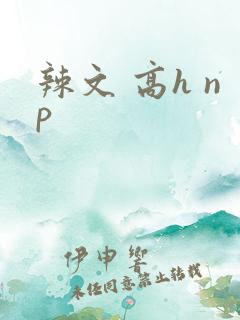 辣文 高h np