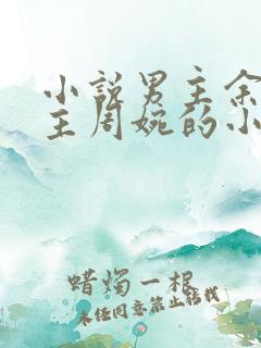 小说男主余年女主周婉的小说