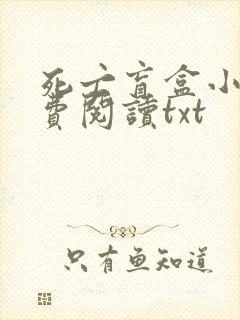 死亡盲盒小说免费阅读txt